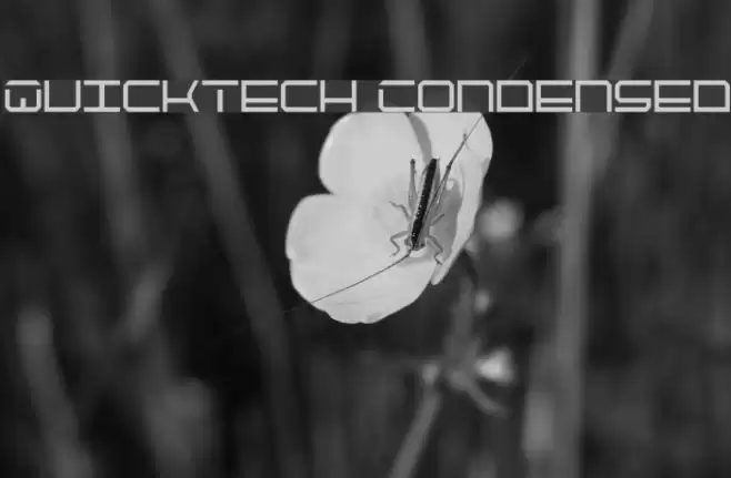 QuickTech Condensed Font examples