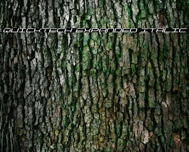 QuickTech Expanded Italic Example 3