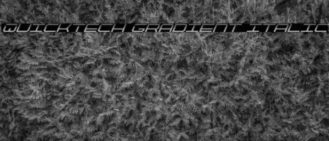 QuickTech Gradient Italic Font examples