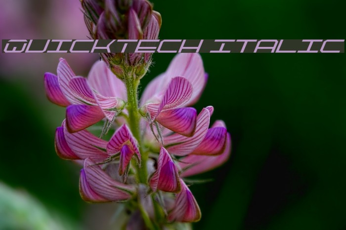 QuickTech Italic Font examples
