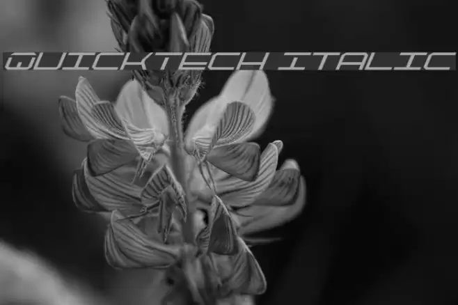QuickTech Italic Fonte examples