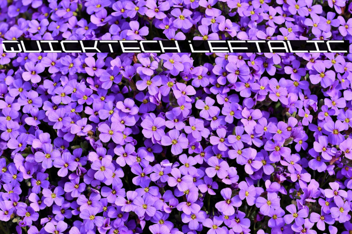 QuickTech Leftalic Font examples