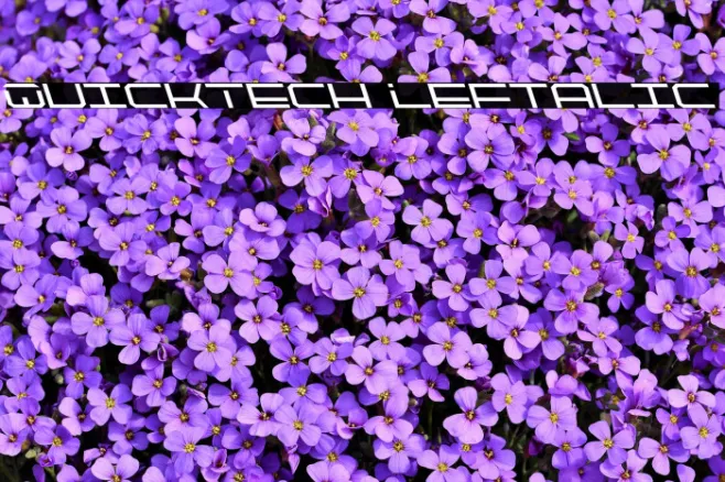 QuickTech Leftalic Example 3