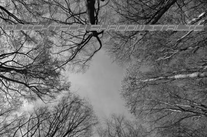 QuickTech Shadow Italic Font examples