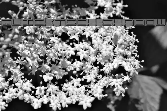 QuickTech Shadow Font examples