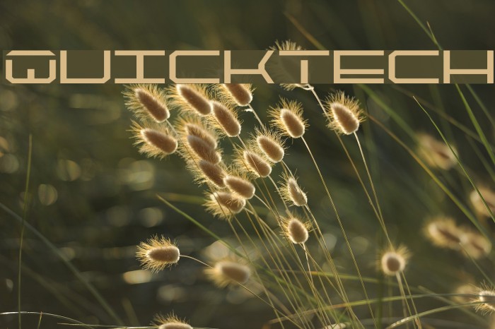 QuickTech Font examples