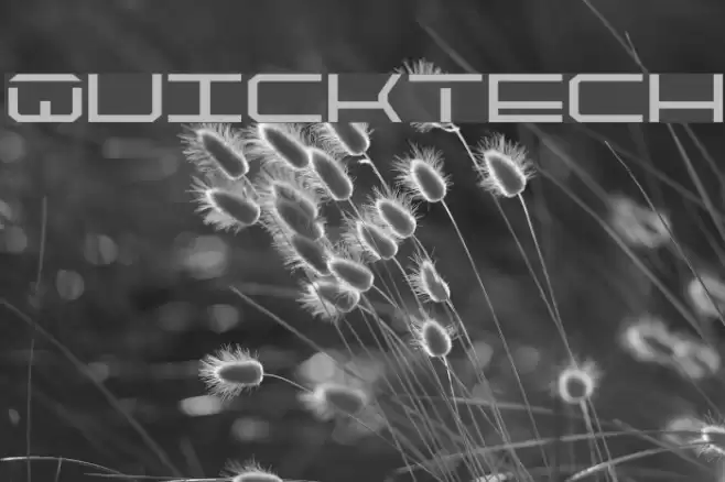 QuickTech Fonte examples