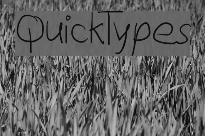 QuickTypes Font examples