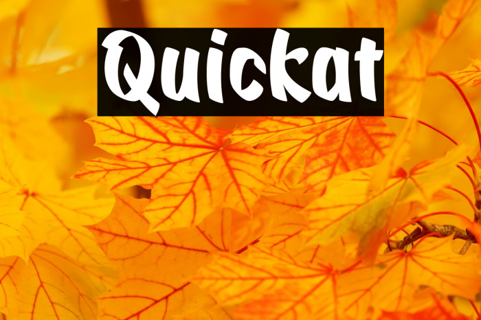 Quickat Font examples