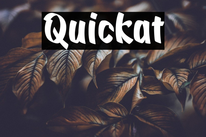 Quickat Font examples