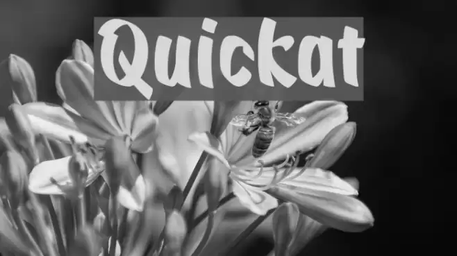 Quickat Font examples
