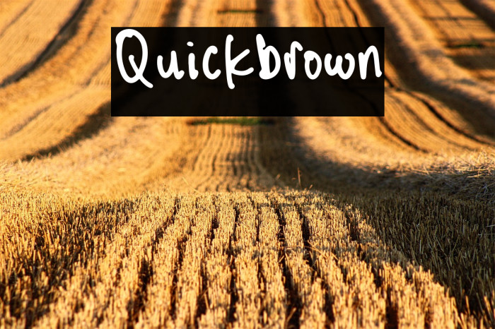 Quickbrown Example 2