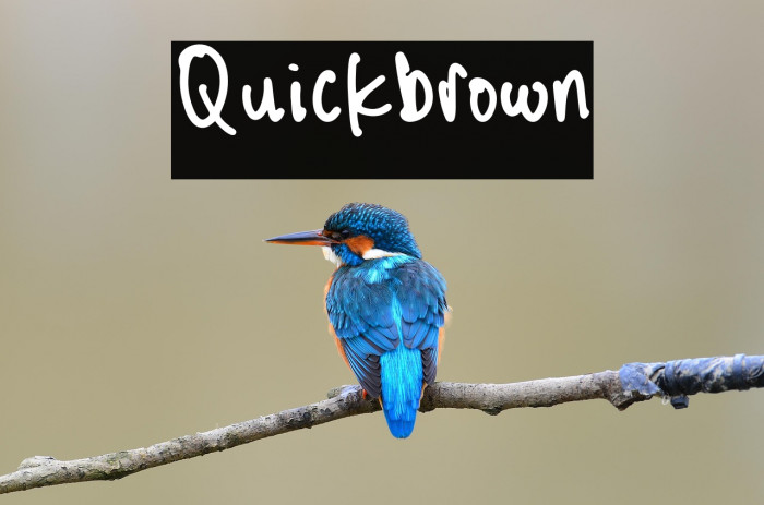 Quickbrown Example 3