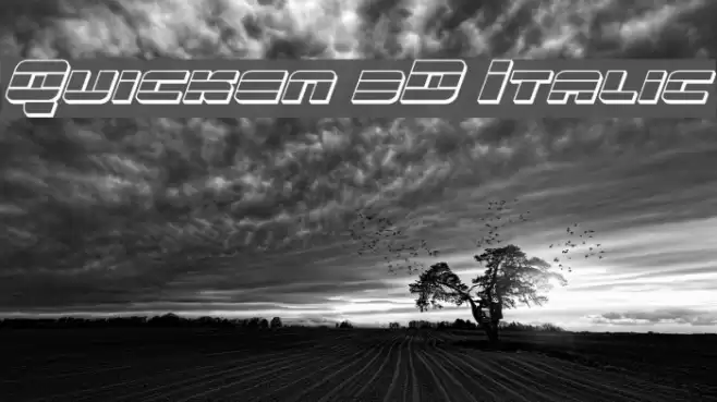 Quicken 3D Italic Font examples