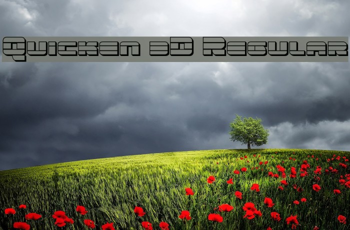 Quicken 3D Regular Example 2