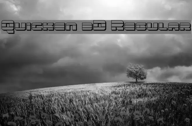 Quicken 3D Regular Font examples