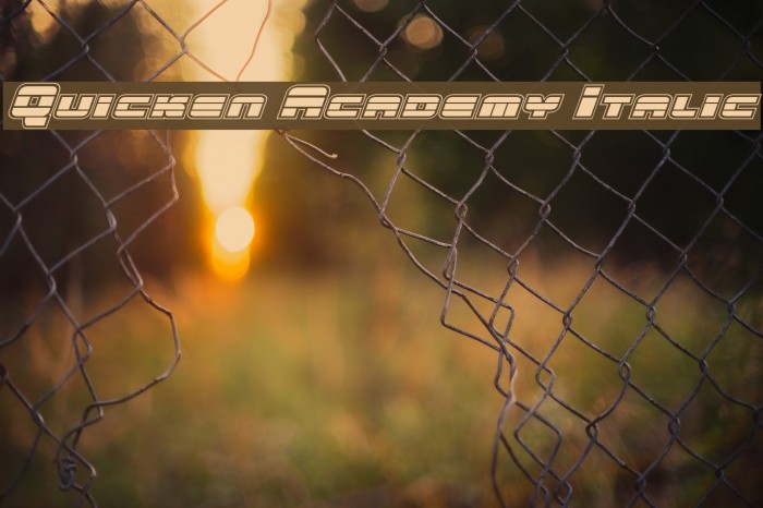 Quicken Academy Italic Font examples