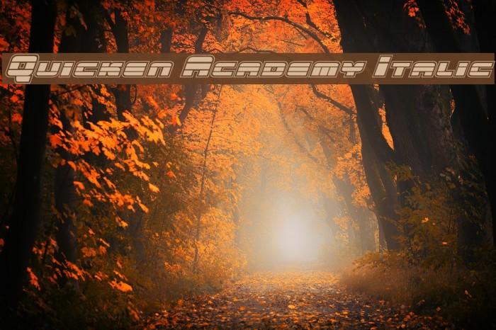 Quicken Academy Italic Font examples