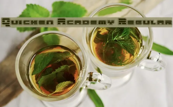 Quicken Academy Regular Example 3