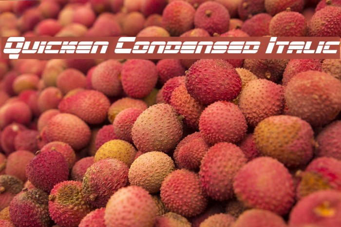 Quicken Condensed Italic Example 3