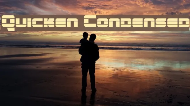 Quicken Condensed Example 3