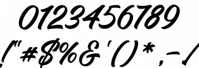 Quicken Demo Font OTHER CHARS