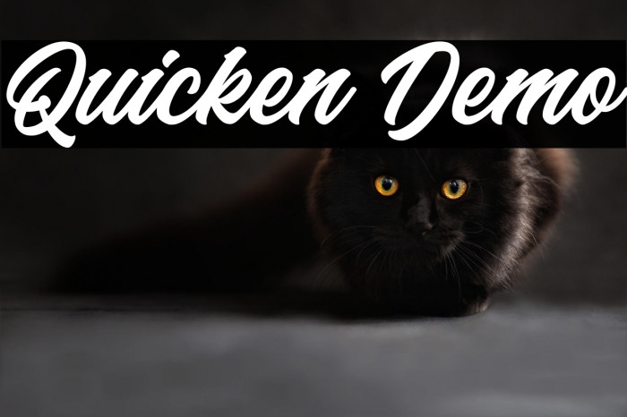 Quicken Demo Example 1