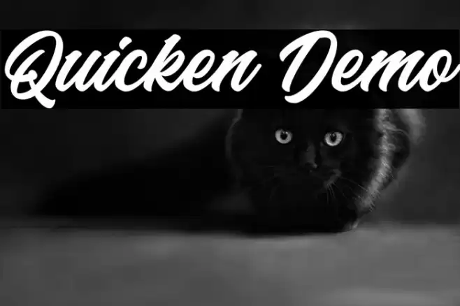 Quicken Demo Font examples