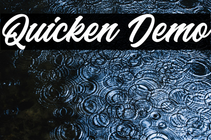 Quicken Demo Example 2