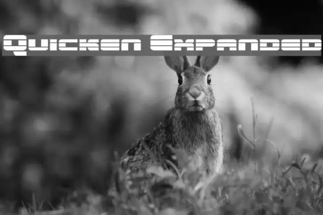 Quicken Expanded Font examples