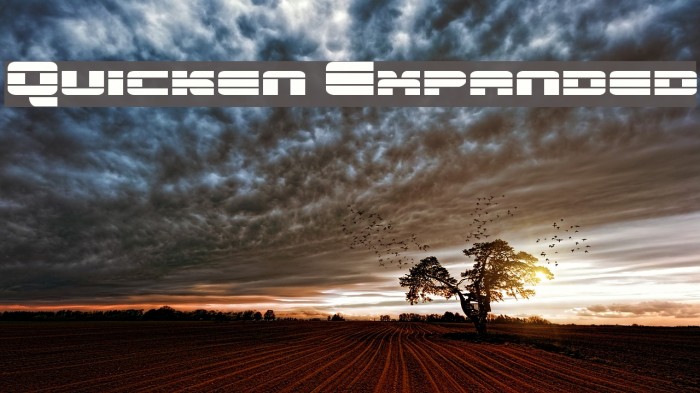 Quicken Expanded Example 2