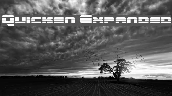 Quicken Expanded Font examples