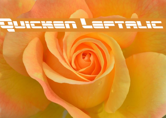 Quicken Leftalic Example 2