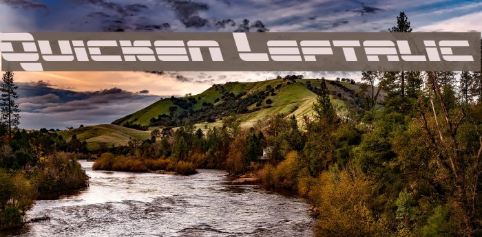 Quicken Leftalic Example 3