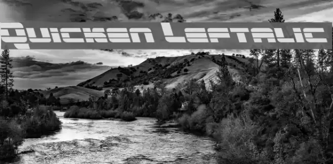 Quicken Leftalic Font examples