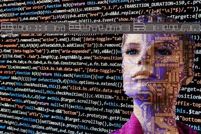 Quicken Outline Regular Example 1