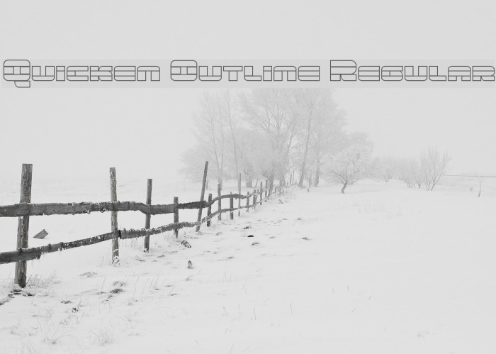 Quicken Outline Regular Example 3