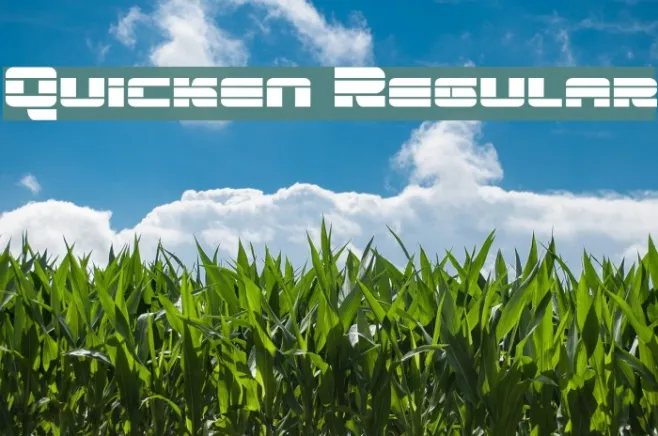 Quicken Regular Example 3