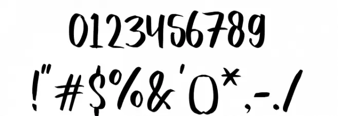 Quicken Font OTHER CHARS