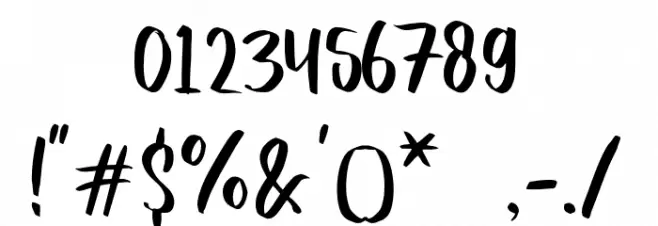 Quicken Font OTHER CHARS