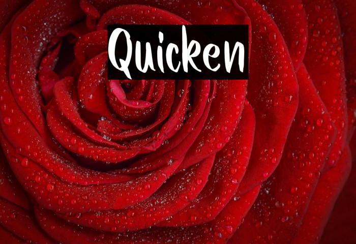 Quicken Example 2