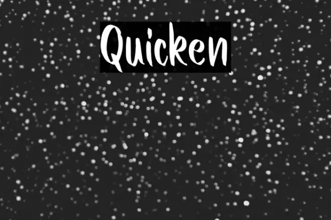 Quicken Font examples