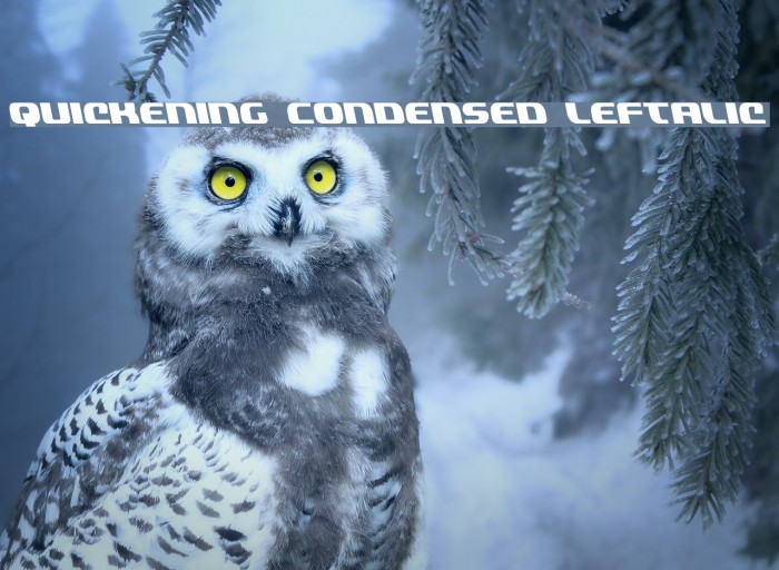 Quickening Condensed Leftalic Example 1