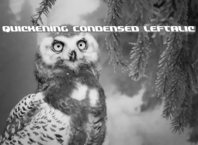 Quickening Condensed Leftalic Font examples