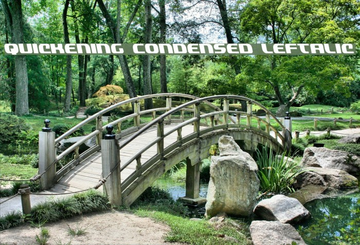 Quickening Condensed Leftalic Example 3