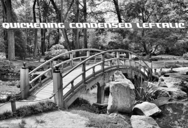 Quickening Condensed Leftalic Font examples