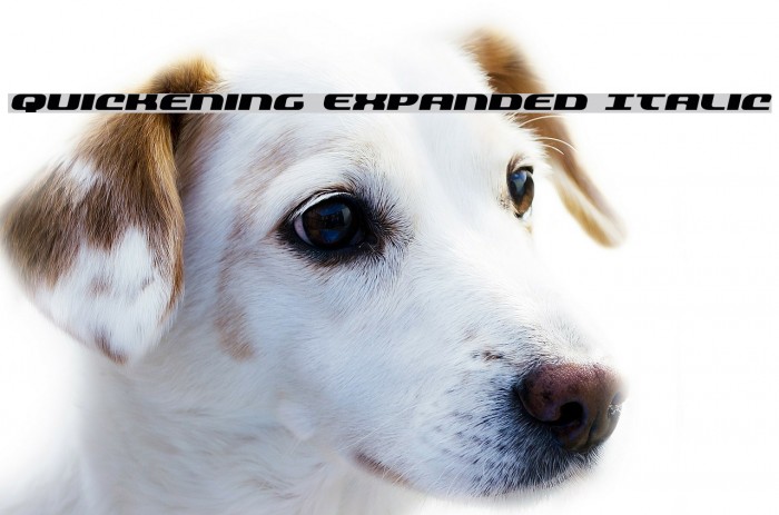 Quickening Expanded Italic Font examples
