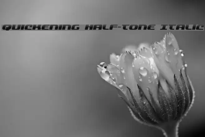 Quickening Half-Tone Italic Font examples