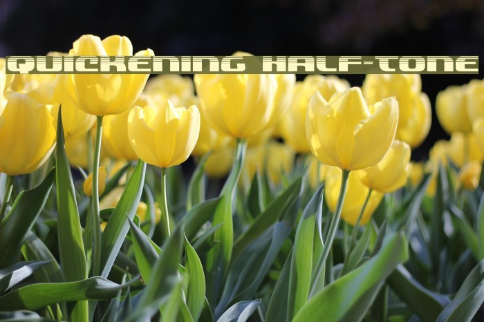 Quickening Half-Tone Font examples