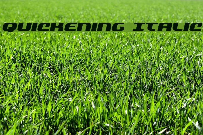 Quickening Italic Font examples